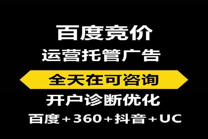 SEM推广实战：成功案例剖析
